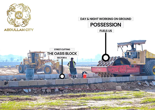 39273Artboard 11.webp